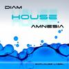 Amnesia (Original Mix) - Diam