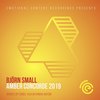 Amber Concorde (Donda Remix) - Bjorn Small&Donda