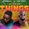 A Lot of Things(feat. Jah Voice) - Apisoulll&Jah Voice