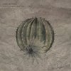 Warning People - Joan le Frais