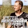 Ohne dich(schlaflos edit) - Peter Reichinger