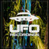 Embers (Play Insane Remix) - Dj Jofri&Play Insane