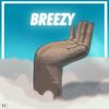 Breezy - Forenzik Styles