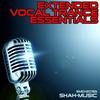 The Key (Original Vocal Mix) - Pedro Del Mar&Sasha Da Link