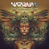 The Shaman Airline (Original Mix) - Nataraja3D