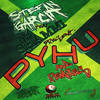 Pyhu(Put Your Hands Up) (Synapse DJ & Ceedes Remix) - Stefan Garcia&Mr. Shammi&Synapse DJ&Ceedes