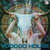 So Damn Hot (Radio Mix) - Platinum Doug