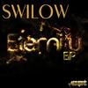Complex Way (Original Mix) - Swilow