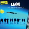 Ich bin ein dartpfeil (Acoustic Version) - LIAM