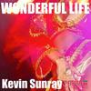 Wonderful Life (Dab Remix Vokal) - Kevin Sunray