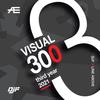 Visual 300(feat. Michela) - D.J.F.&Michela