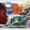 Come To Your Senses - Pax Japonica Groove&Lisa Millett