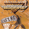 Freundschaft - Bonfire