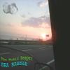 Sea Breeze(Dub Step Remix) (Remix) - The Music Reaper