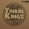 Tribal Noise Again (Tribe Mix) - Steve K