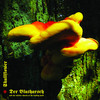 And Now - What - Der Blutharsch and the infinite church of the leading hand&Skullflower