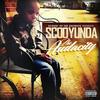 The Audacity (Explicit) - Scooyunda