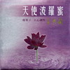 大悲咒 - 辛佩珍