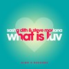What Is Luv (Extended Mix) - Sasha Dith&Steve Modana