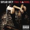 Final Warning - Skylar Grey