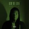 How We Livin' (Explicit) - Calvin Fowler&Slade