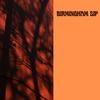 Birmingham Sip (Radio Edit) - Greenmamba