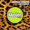 Switchback - Andrea Condor