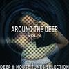 Ambra Life (Wildlife Mix) - Darrel Peterson