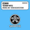 Too Many Notes (Original Mix) - Iceman