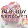 화이트데이 2 (White Day 2) - 디제이 버디&Galla&용