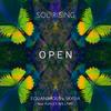 Open (feat. Ashley Willfire) (Sol Rising Remix) - Equanimous&fields.&Sol Rising&Ashley Willfire