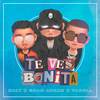 Te Ves Bonita - Gran Aukan Producer&Kaly&Yaroll