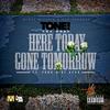 Here Today, Gone Tomorrow(feat. Fabo & Vl Deck) (Explicit) - ToneTheGOAT&Fabo&Vl Deck