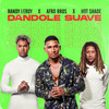 Dandole Suave - Hot Shade&Randy Leroy&Afro Bros