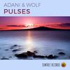 Pulses (Original Mix) - Adani&Wolf