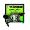 Lemongrass (Original Mix) - The Badgers