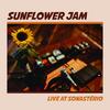 Lonely Boy (Live) - Sunflower Jam&Zeeba