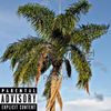 Flawda Vibez! (Explicit) - KdotKree&Sev7n