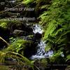 Stream of Water #7 - BOSCO RECORDINGS&birds