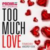 Too Much Love (Eddie Amador & Dany Cohiba Remix) - Fomichev&Andrey Exx