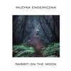 Organic Ultra Reality - Rabbit on the Moon&PiK