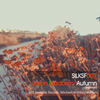Autumn (Michael Witness 'Autumn In Russia' Remix) - Jason Bradberry&Emily Haughton&Michael Witness
