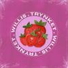 Strawberry - Trynket&Willis