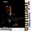 Fantasia No. 8 in G Minor, TWV 40-9: II. Spirituoso - Peter Holtslag