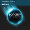 Voices (Original Mix) - Andrew StetS