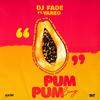 Pum Pum Song (feat. Yared) - DJ Fade&Yared