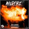 Wildfire - Nath Jennings&Colin Hennerz