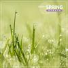 Rainy Spring - Rubato