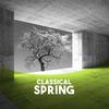 Cinderella, Suite No. 2, Op. 108: IV. Springfairy and Summerfairy - The Stadium Symphony Orchestra of New York&Sergei Prokofiev&Leopold Sokowski