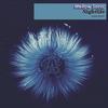 Nightlife - Mellow Sonic